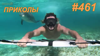 Приколы июль 2019 №461